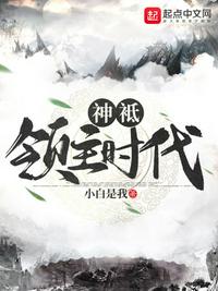 神祗领主时代 小说