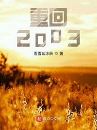 重回2003年夜鸣猪TXT八零