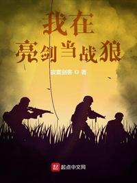 我在亮剑当战狼无重复版