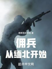 我在缅北当佣兵无防盗